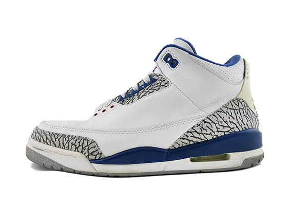 Air Jordan 3 True Blue (2001)