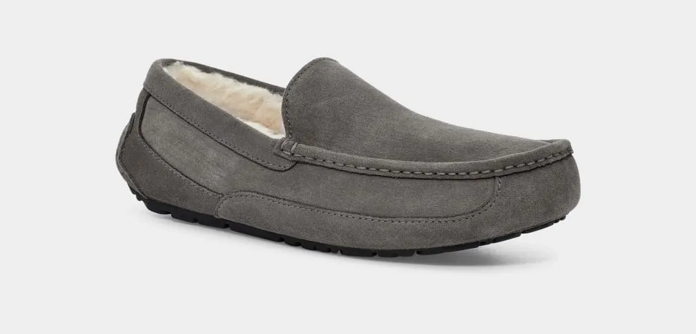 UGG Ascot Slipper Grey