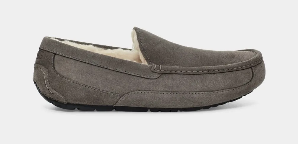 UGG Ascot Slipper Grey