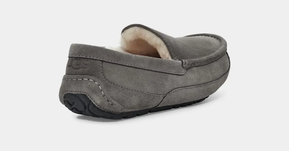 UGG Ascot Slipper Grey