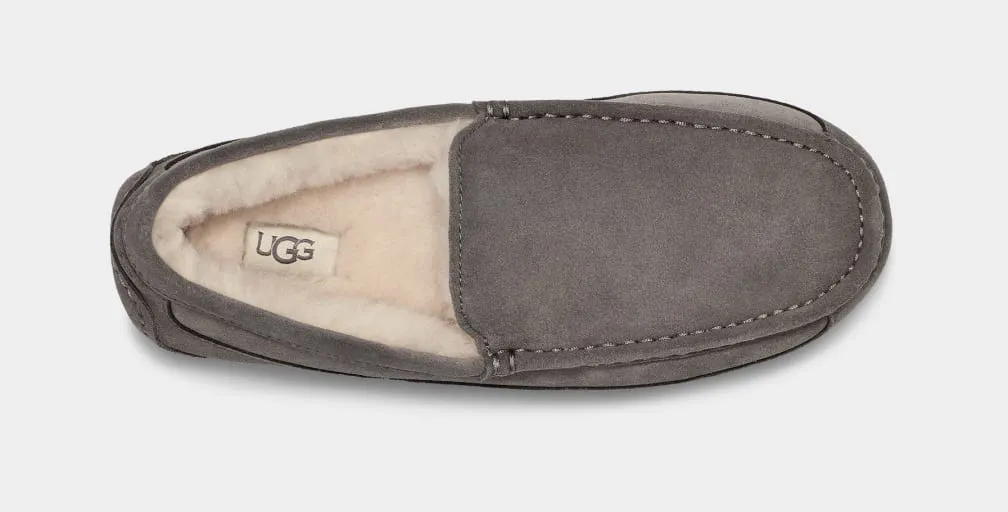 UGG Ascot Slipper Grey