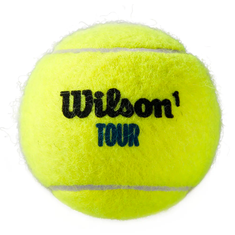 Wilson Tour Premier All Court 4 Ball Can