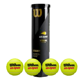 Wilson US Open 4 Ball Can